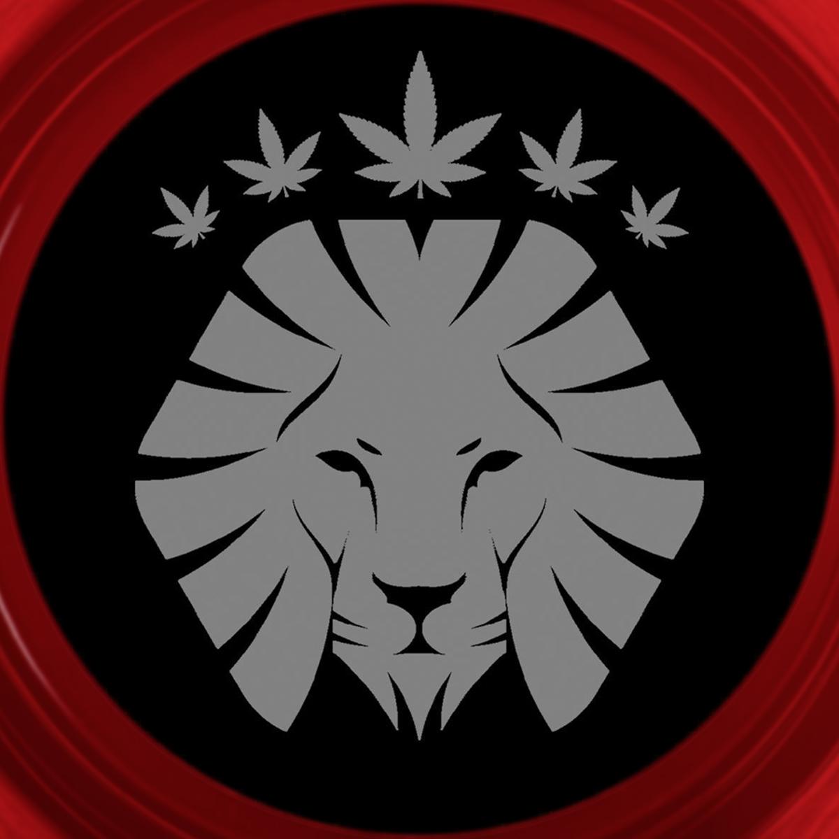 Unknown - My Sound / Another Hit Song [transparent red vinyl]