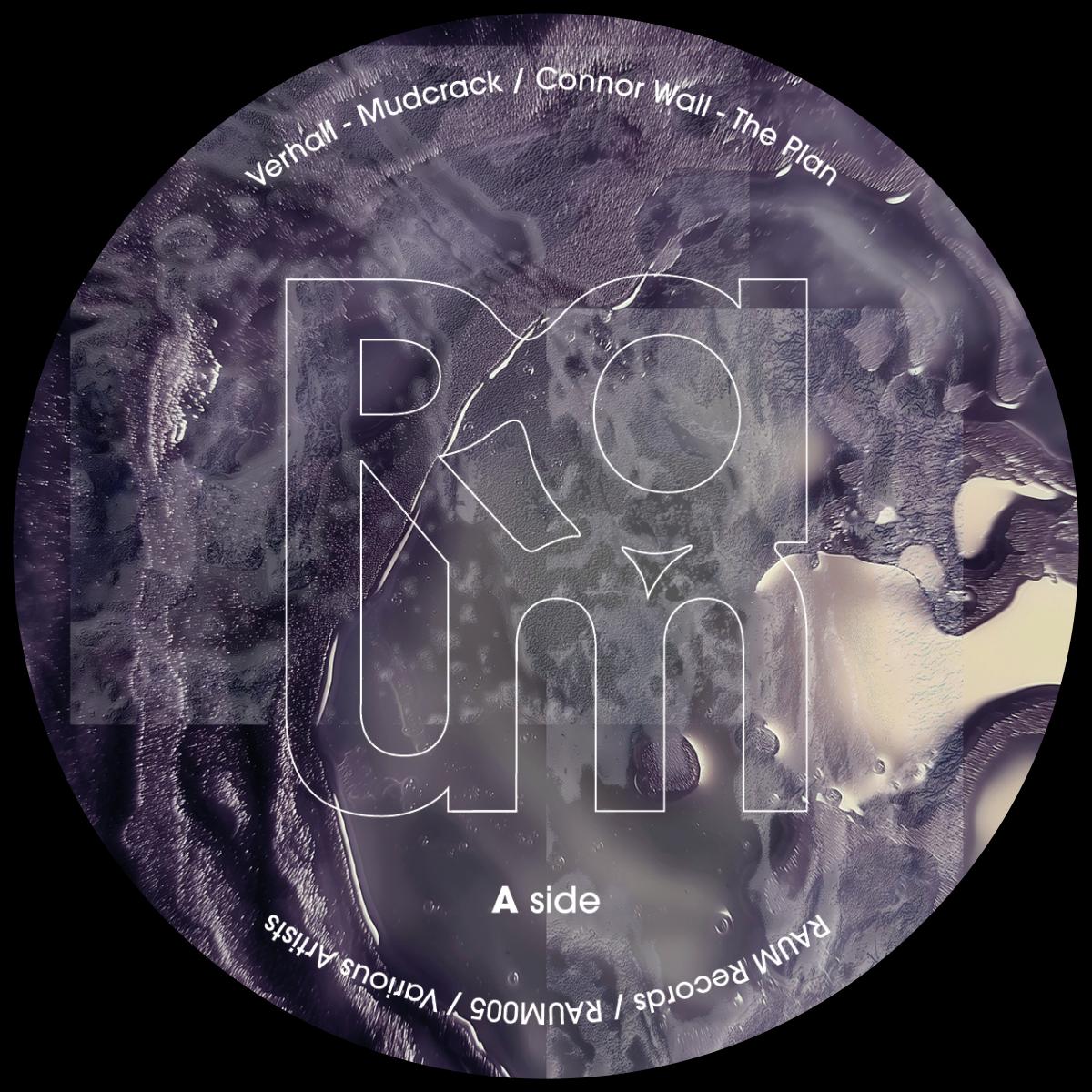 Various Artists - RAUM VA 002 [180gr]