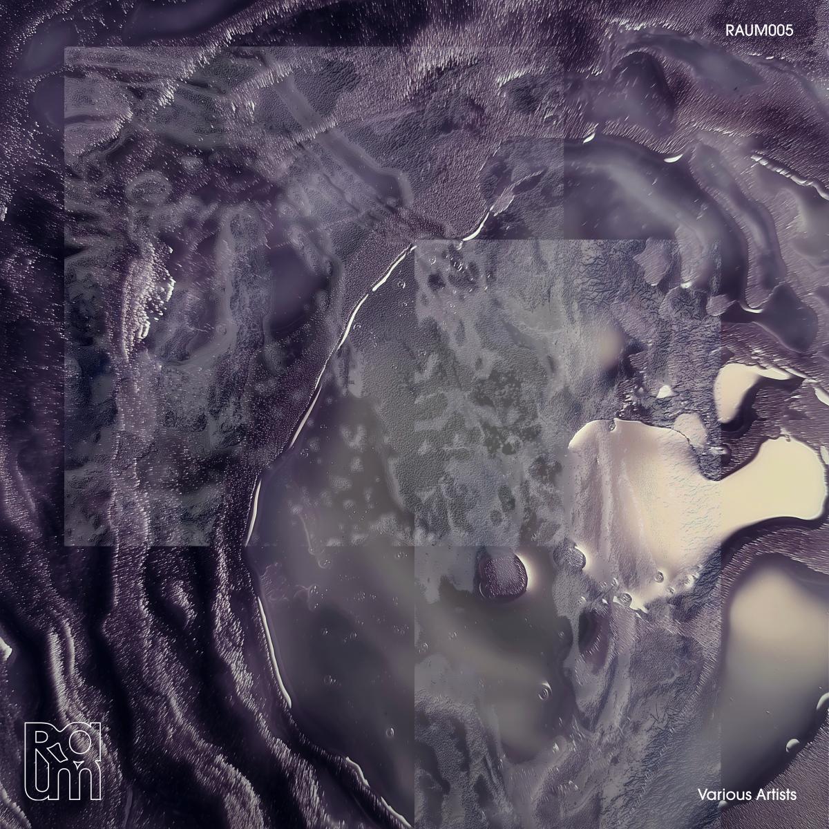 Various Artists - RAUM VA 002 [180gr]
