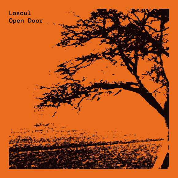 Losoul - Open Door (Expanded 2x12”) (2023 repress)