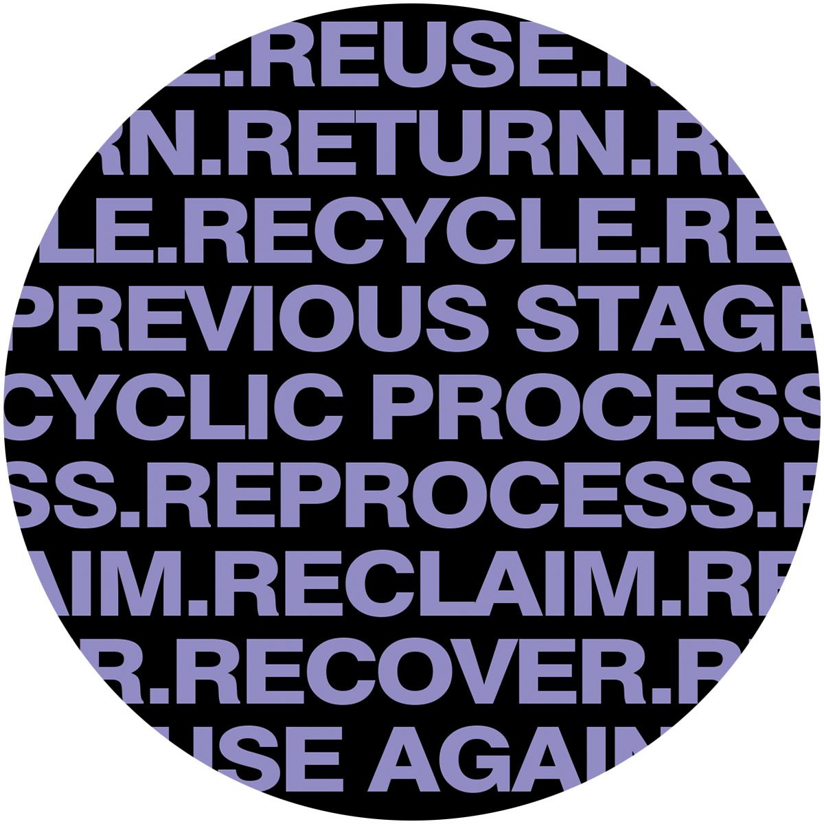 Unknown Artist - RECYCLE PCP [purple marbled vinyl]
