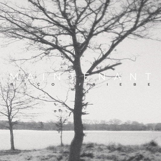 Rico Friebe - Maintenant [CD]