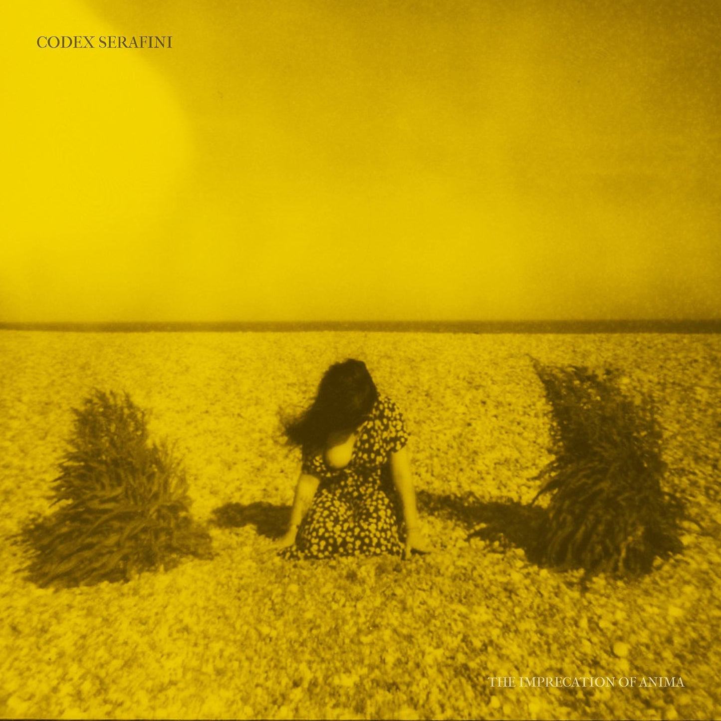 CODEX SERAFINI - The Imprecation Of Anima