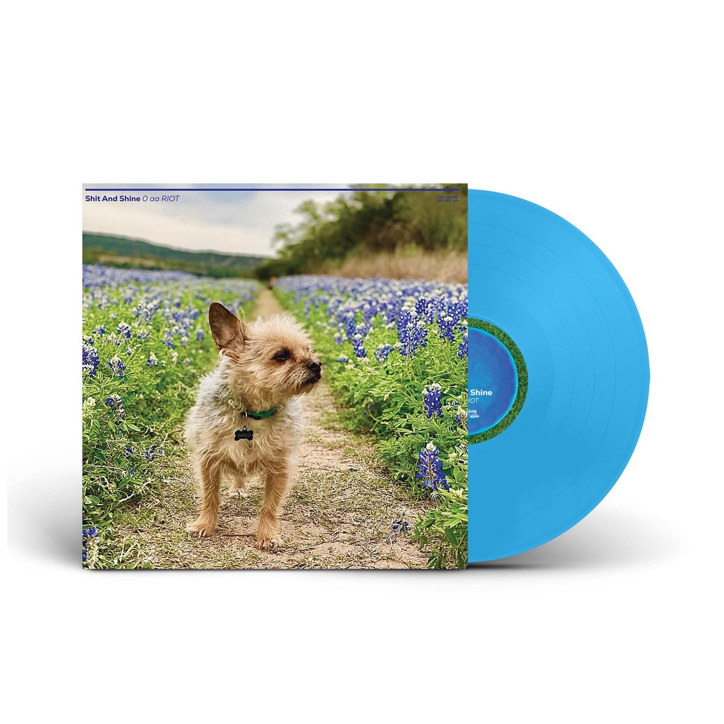 Shit And Shine - 0 aa RIOT [OPAQUE SKY BLUE LP]