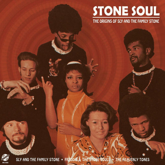 Various / Stone Soul - The Origins Of Sly And The Family Stone (Black)