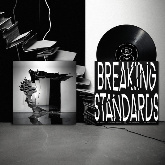 Various Artists - Breaking Standards [180 grams / printed sleeve / incl. dl code]