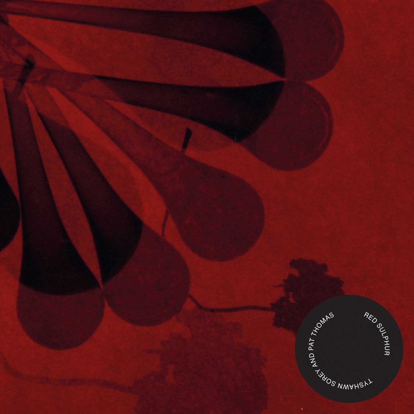 Tyshawn Sorey & Pat Thomas - Red Sulphur [CD]