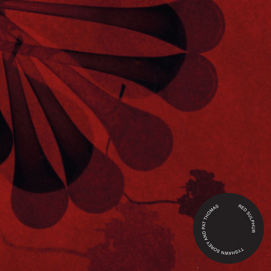 Tyshawn Sorey & Pat Thomas - Red Sulphur [CD]