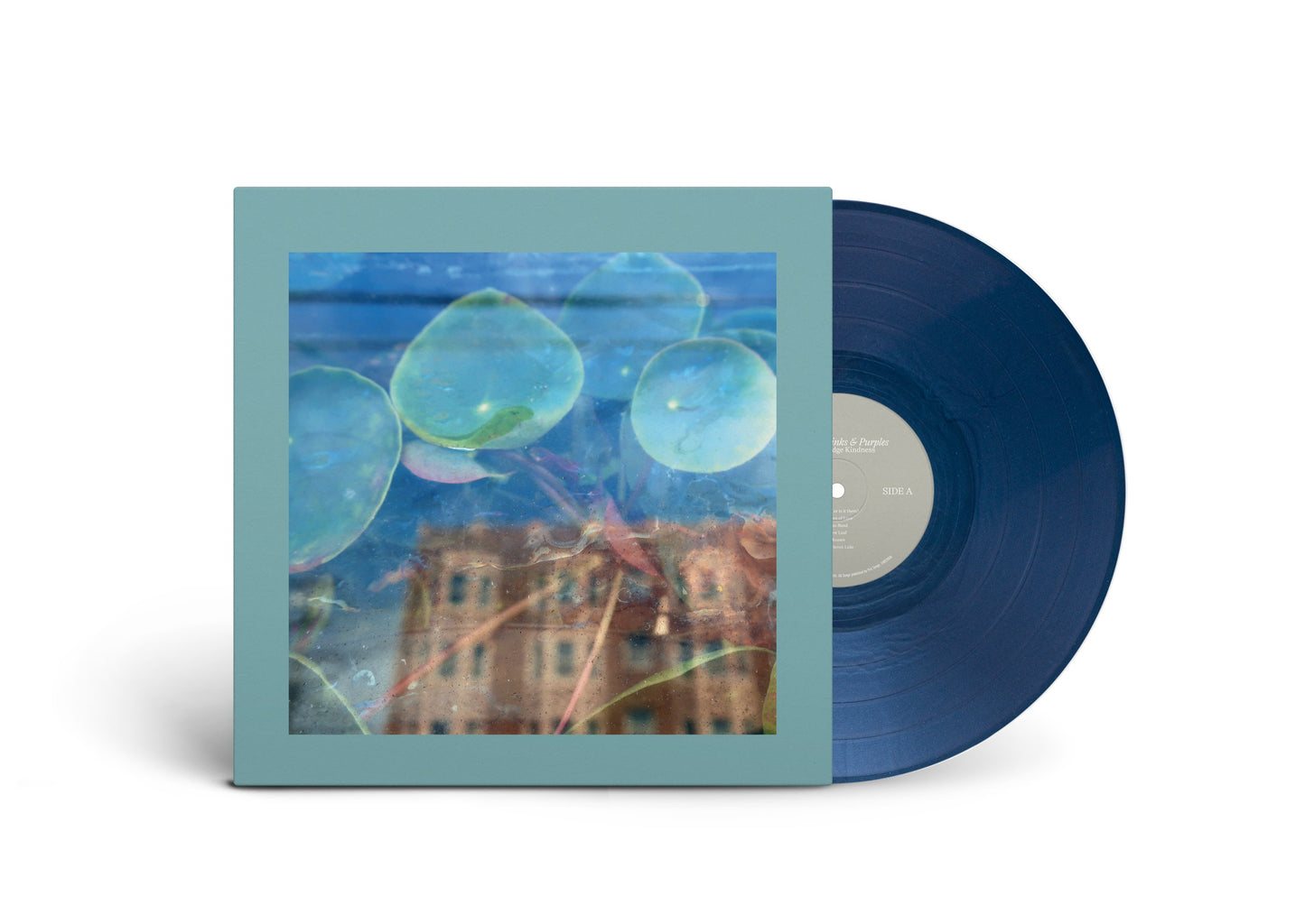 The Reds, Pinks and Purples - Acknowledge Kindness [Ltd Dark Cloud Vinyl]