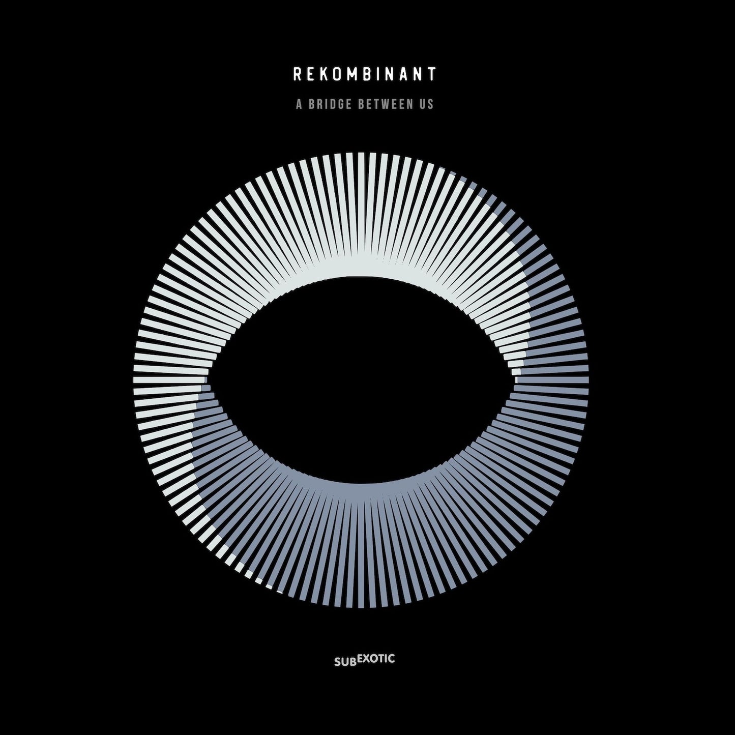 Rekombinant – A Bridge Between Us [2LP]