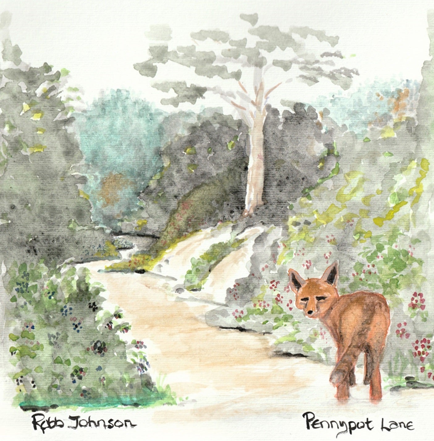 Robb Johnson - Pennypot Lane [LP]