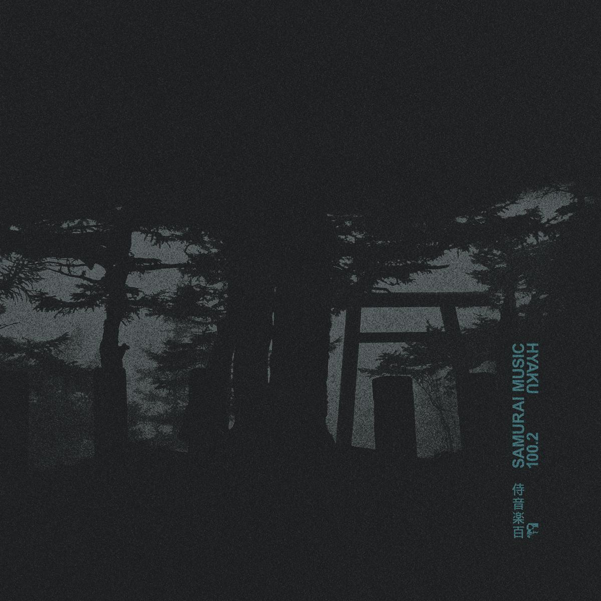 Various Artists - SAMURAI100.2 [silver vinyl / printed sleeve]