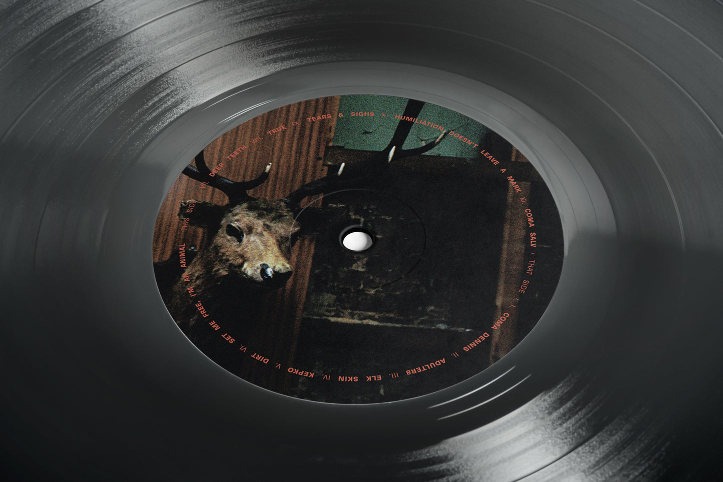 Sega Bodega - Dennis [LP Indie]