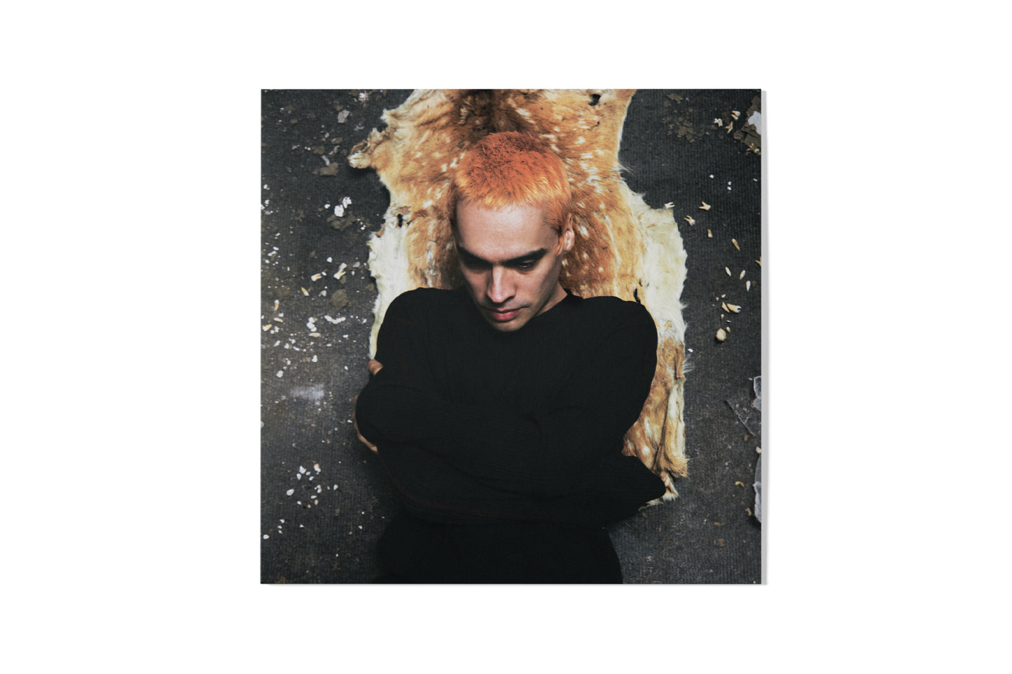 Sega Bodega - Dennis [LP]