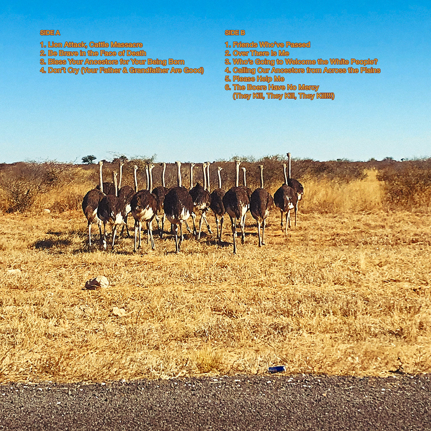 Various Artists - Himba Hymn: Ghosts Of Namibia's Skeleton Coast