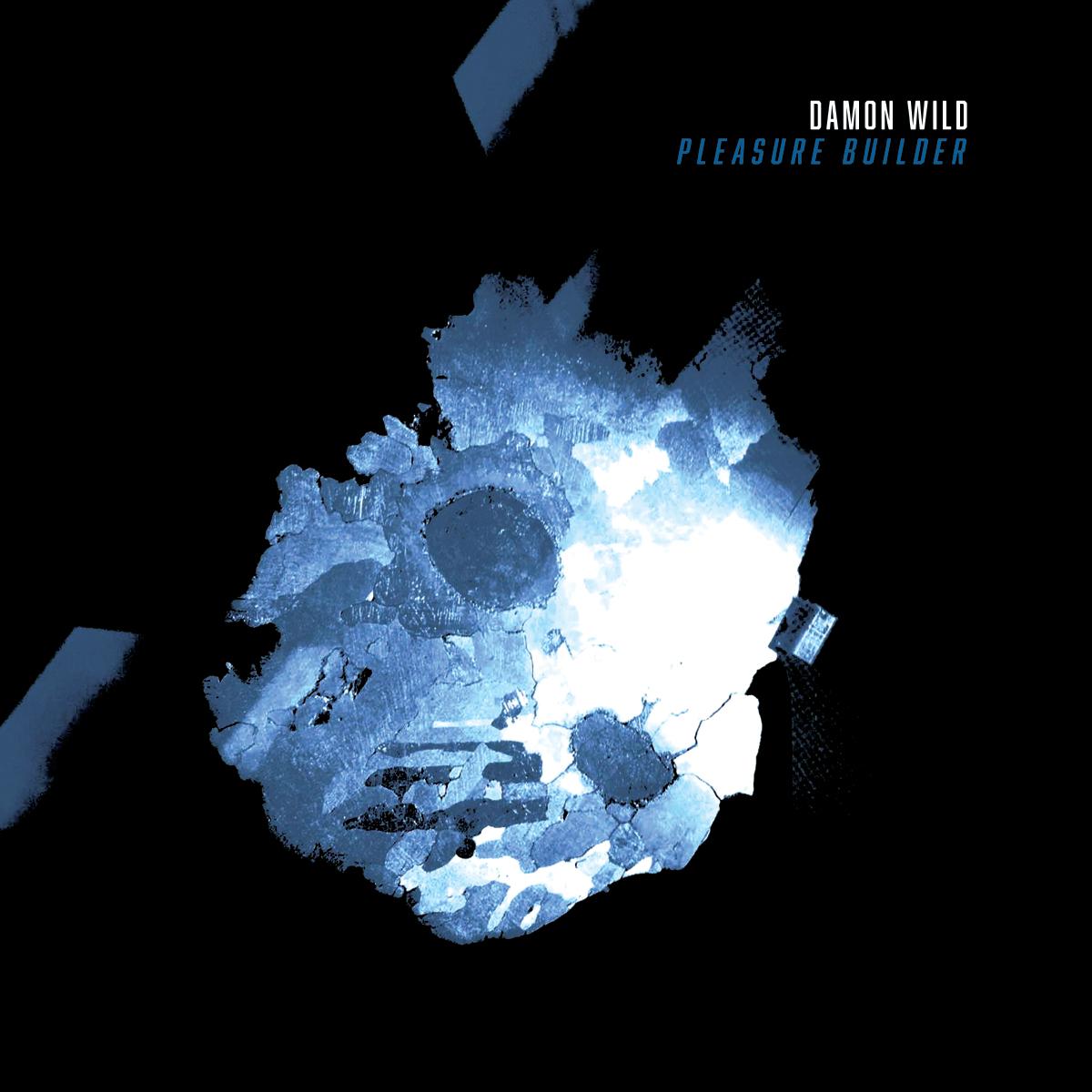 Damon Wild - Pleasure Builder LP [Printed sleeve]