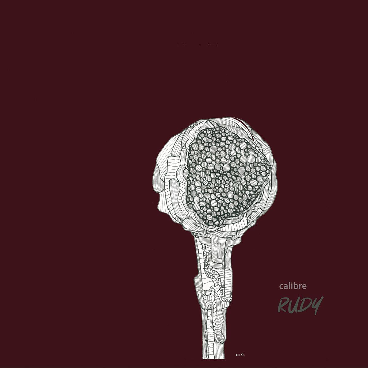 Calibre - Rudy [printed Sleeve / inc. download code]