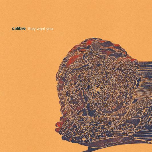Calibre - They want you [printed sleeve / incl dl code]