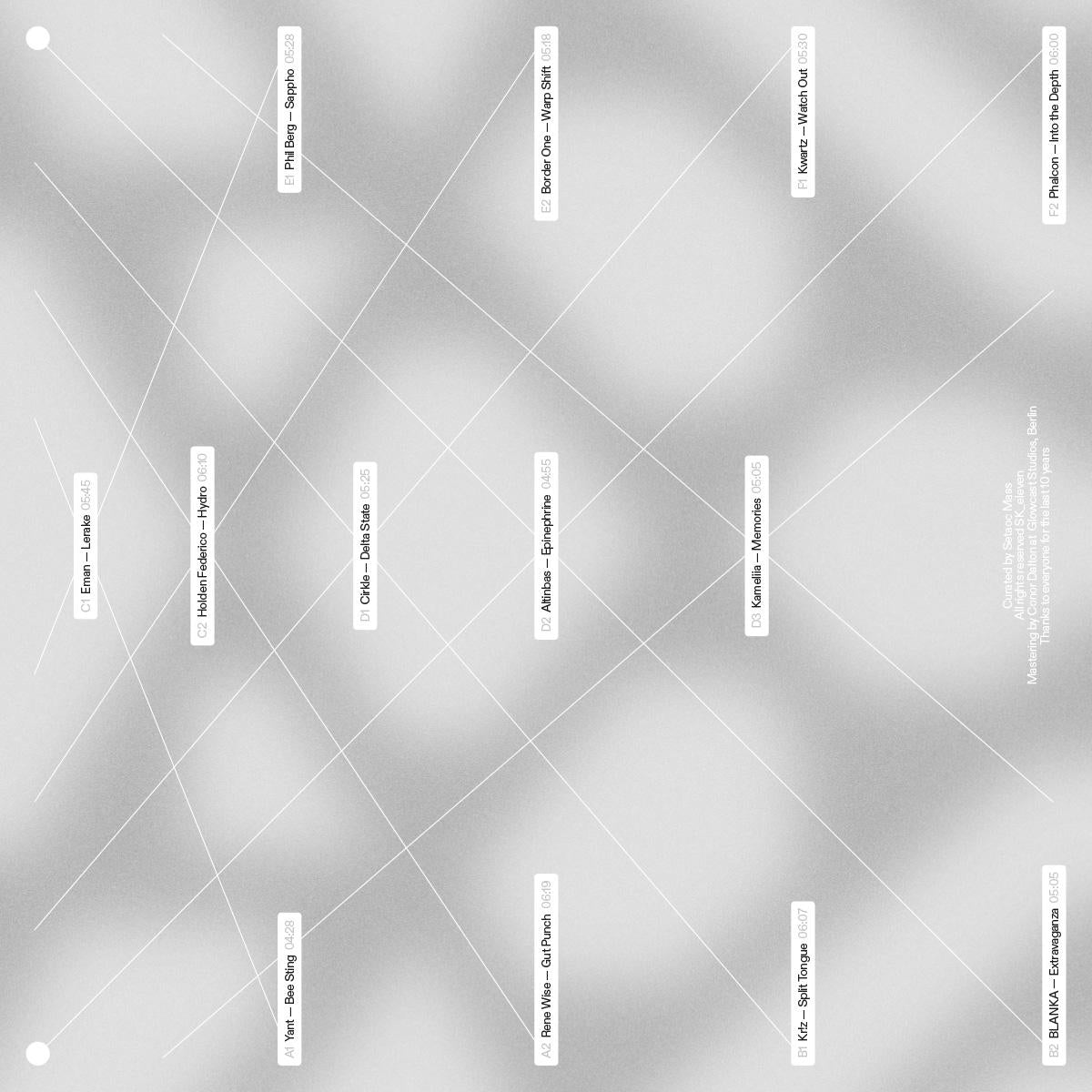 Various Artists - SK11X 10Y [printed sleeve / clear vinyl]