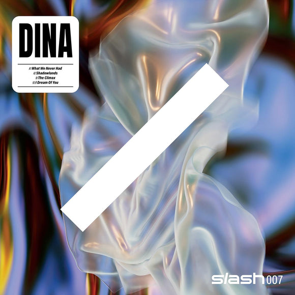 DINA - What We Never Had [printed]