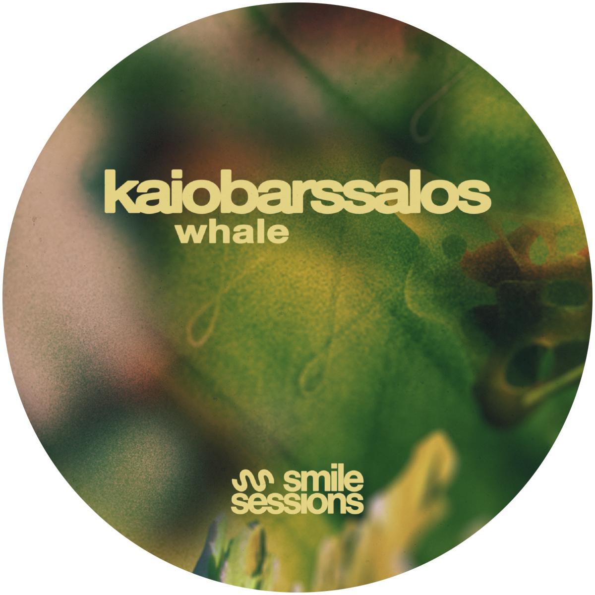 KaioBarssalos - Whale