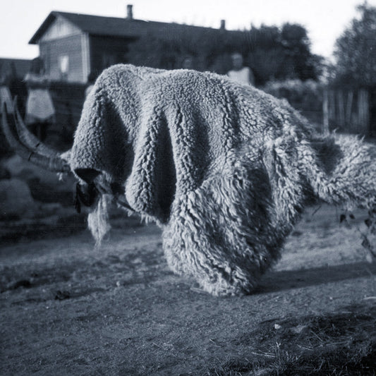 Random Gods - Pneuma