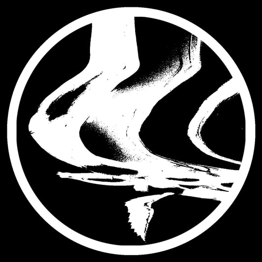 The Chronics - Voices From The Void EP