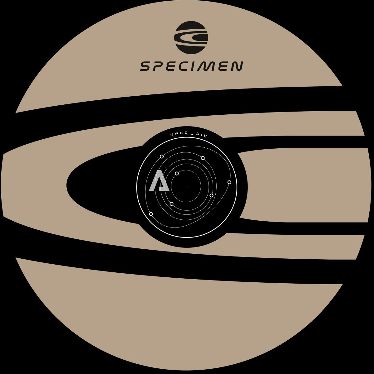 Arsonist Recorder - Vaxxer [printed sleeve / 160 grams]