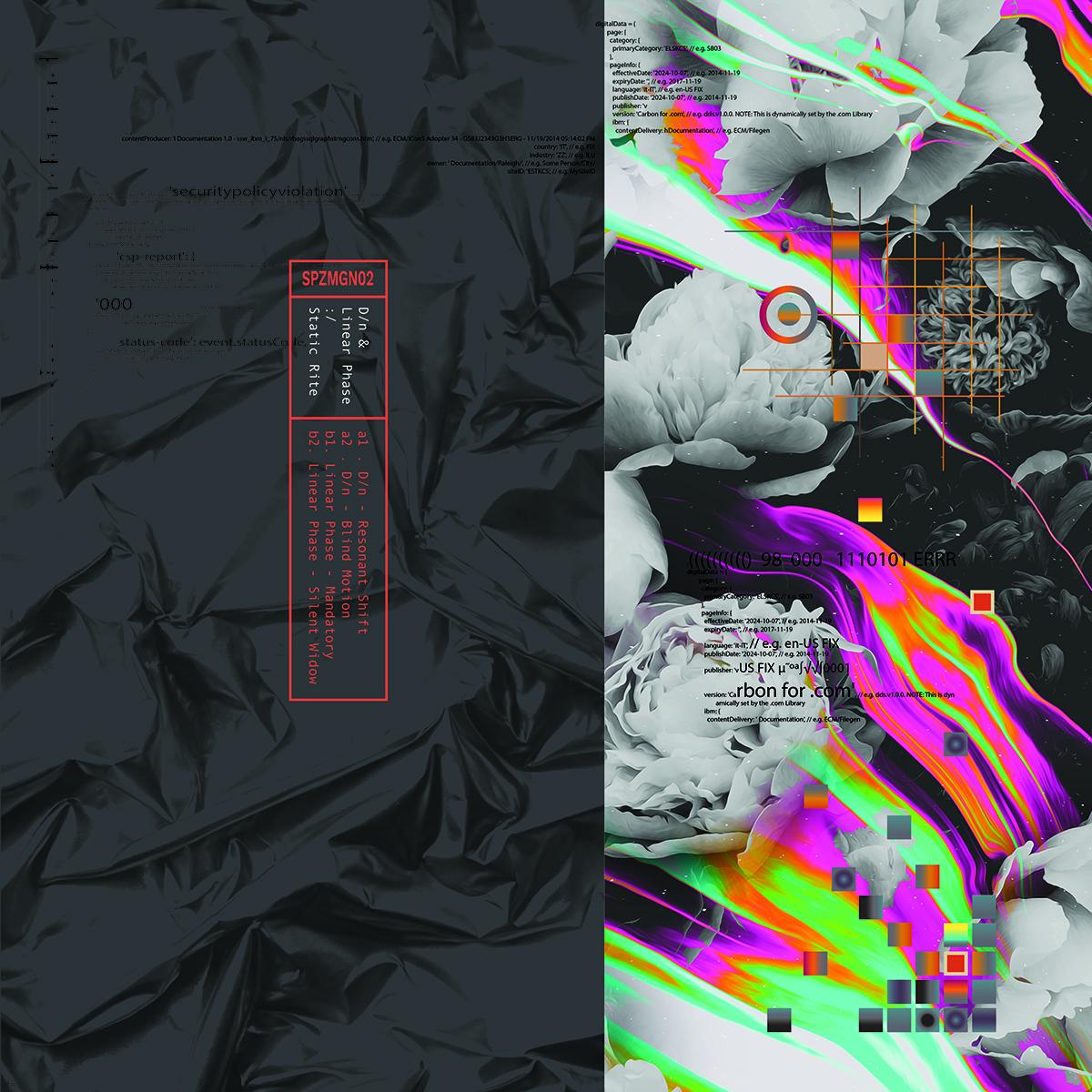 D/n & Linear Phase - Static Rite [printed sleeve / 180 grams]