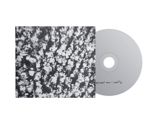 Michael Nau - Popfly [CD]