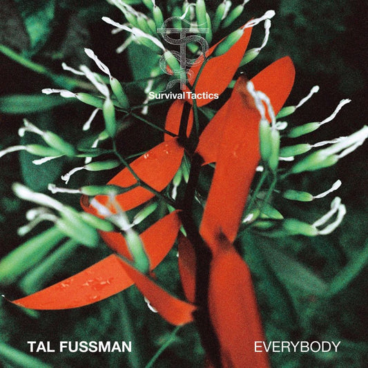 Tal Fussman - Everybody