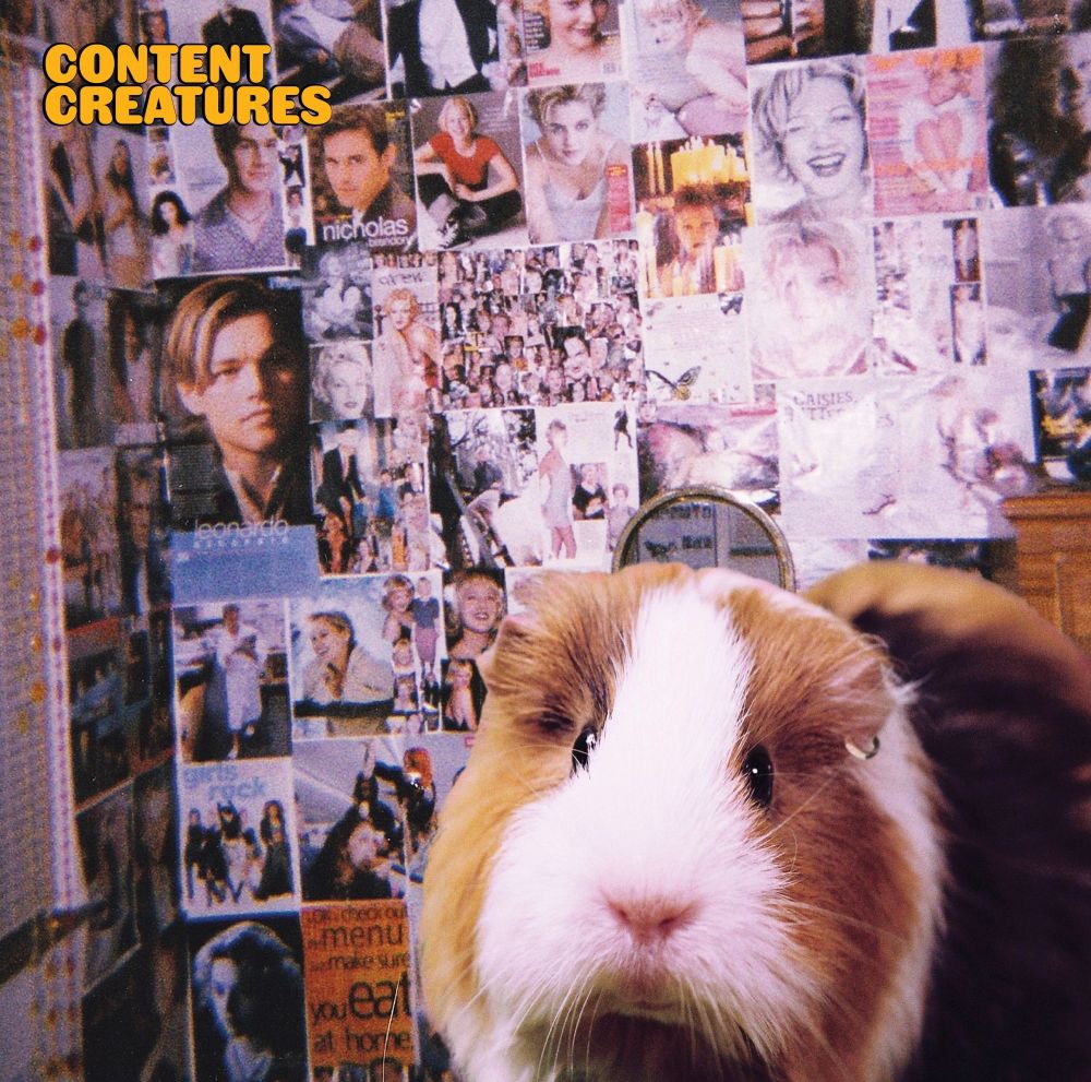 Helmut - Content Creatures