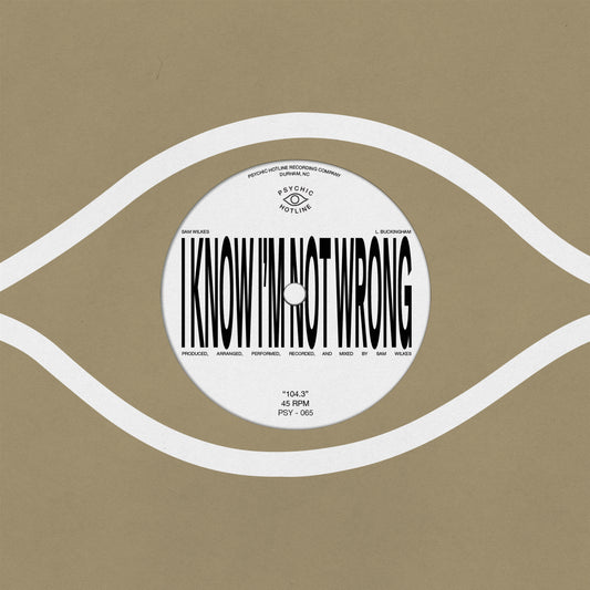 Sam Wilkes - 104.3 [7" Vinyl]