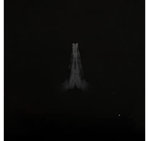 Sault - Untitled (Rise) [LP]