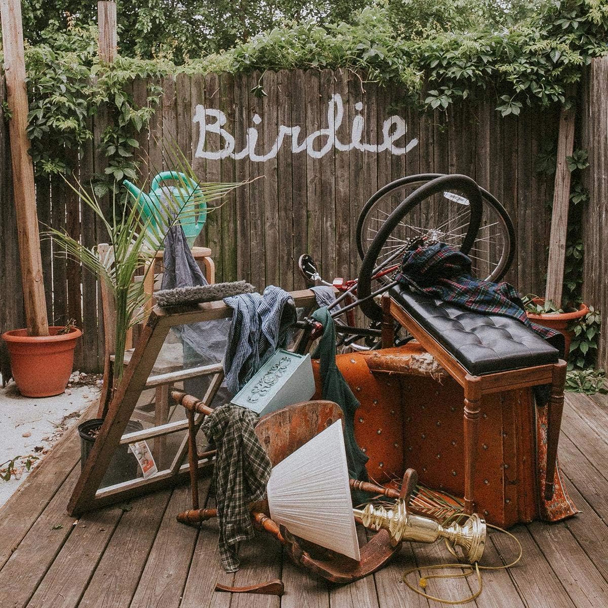 Slaughter Beach, Dog - Birdie [Olive Green Vinyl]