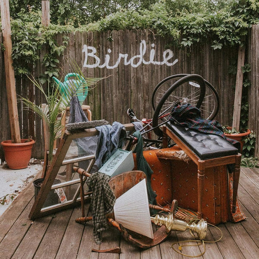 Slaughter Beach, Dog - Birdie [Olive Green Vinyl]