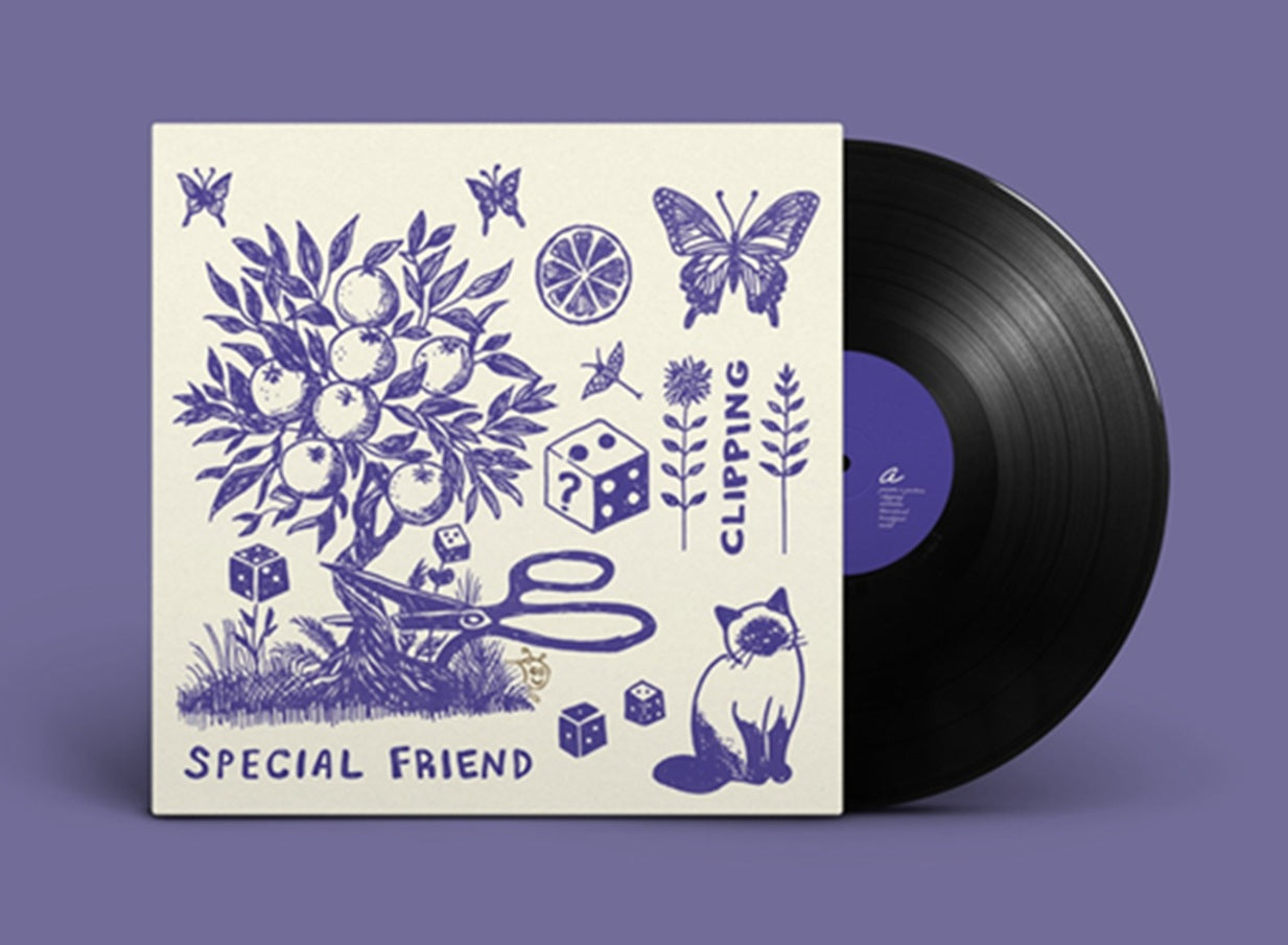 Special Friend - Clipping