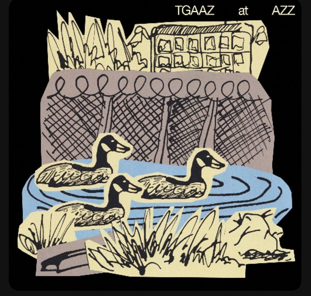 TGAAZ (The Geese at Astra Zeneca) - TGAAZ at AZZ