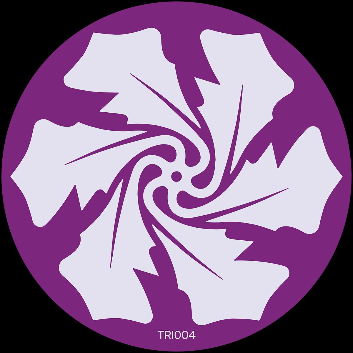 Trash Theory / D.F.N. - The Rejecteds