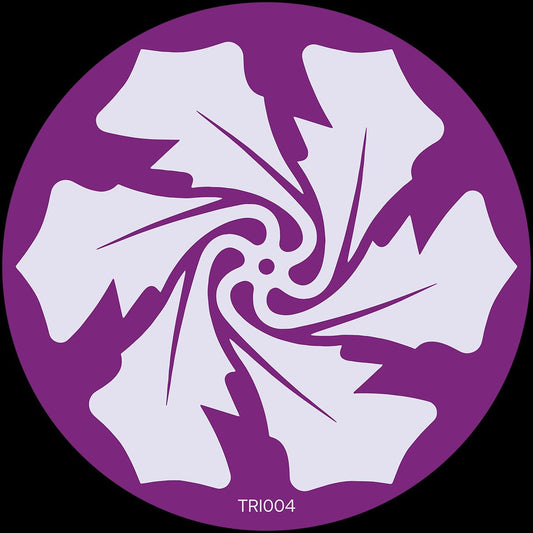 Trash Theory / D.F.N. - The Rejecteds