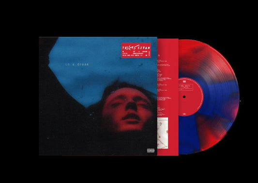 TROYE SIVAN - IN A DREAM [RED & BLUE SWIRL LP]