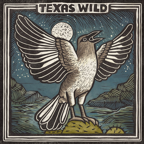 Various Artists - Texas Wild [CD]