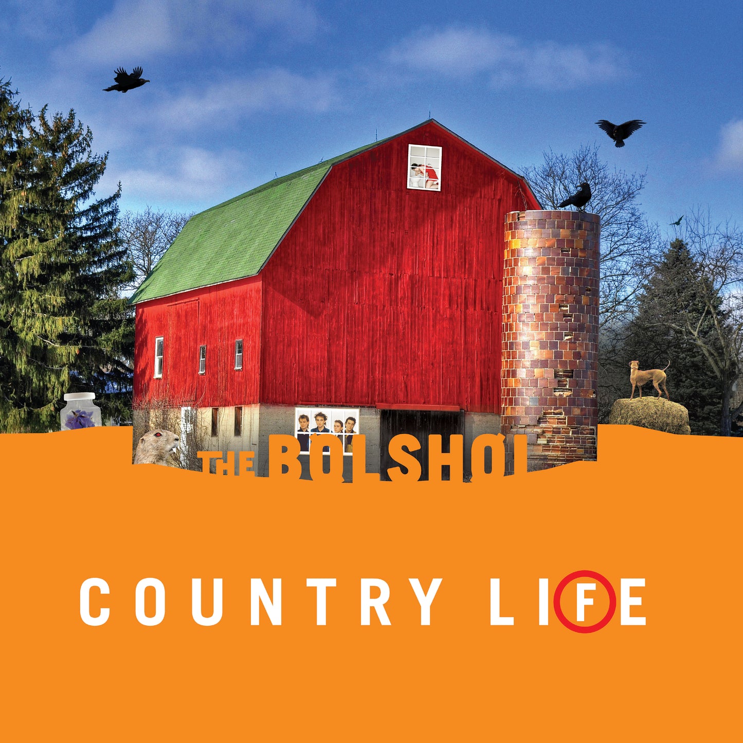 The Bolshoi - Country Life [2LP One Green/One Orange]