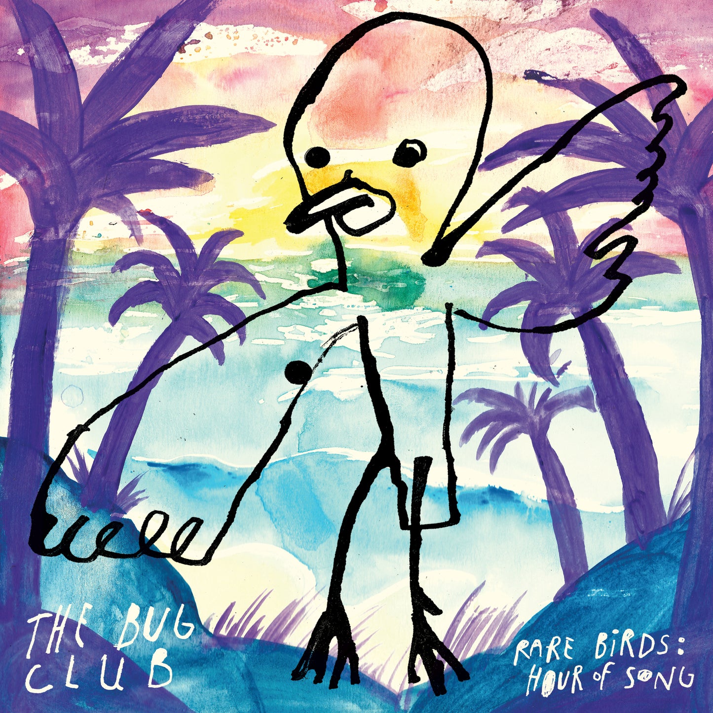 The Bug Club – Rare Birds [2LP]