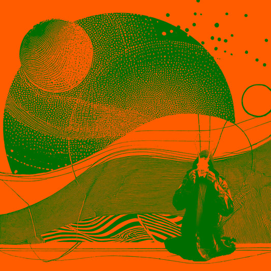 The Janitors – An Error Has Occurred [Orange/Green splatter vinyl]