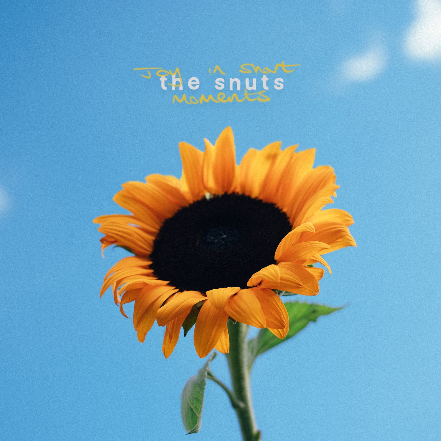 The Snuts - Joy In Short Moments [Limited Edition LP]