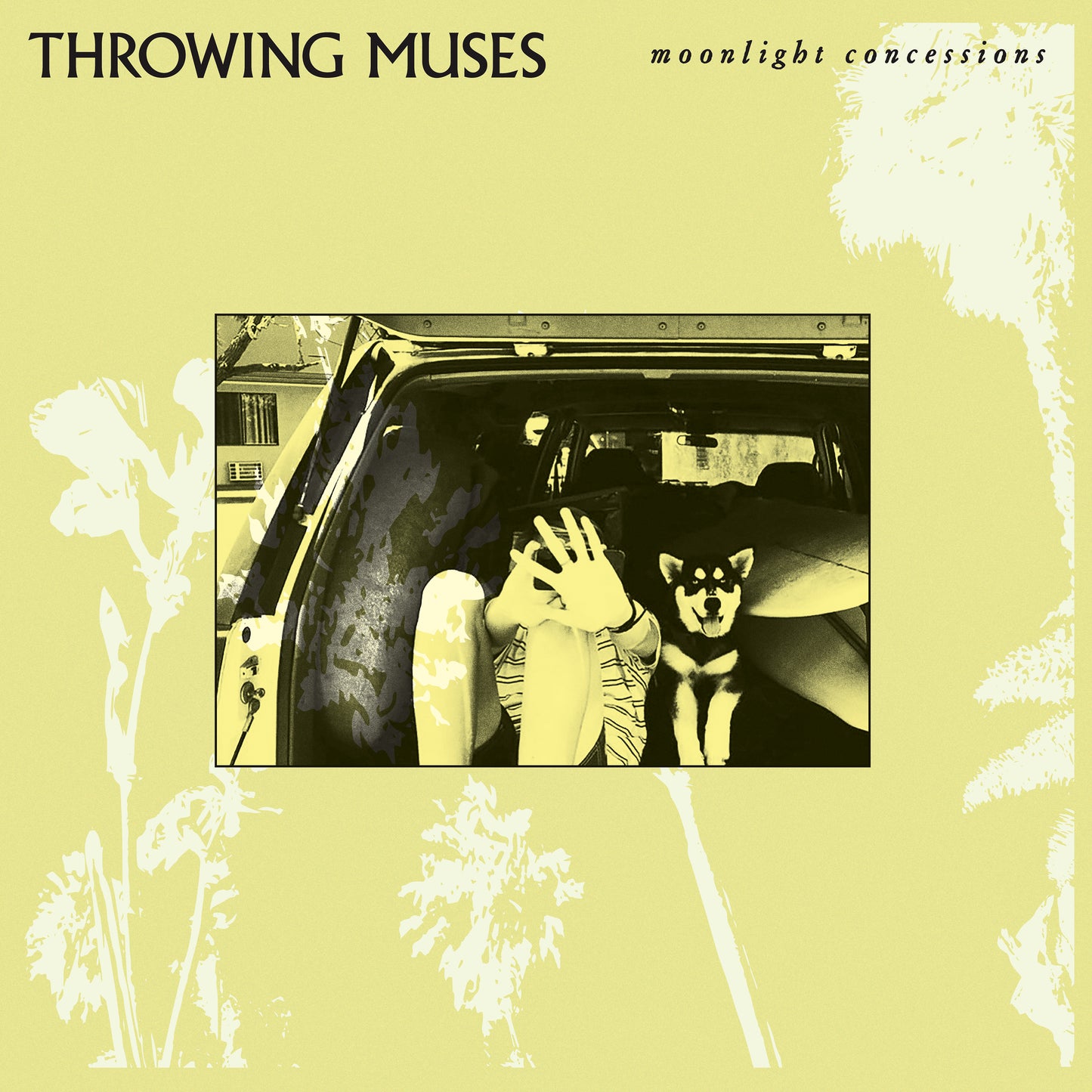 Throwing Muses - Moonlight Concessions [Clear Vinyl]