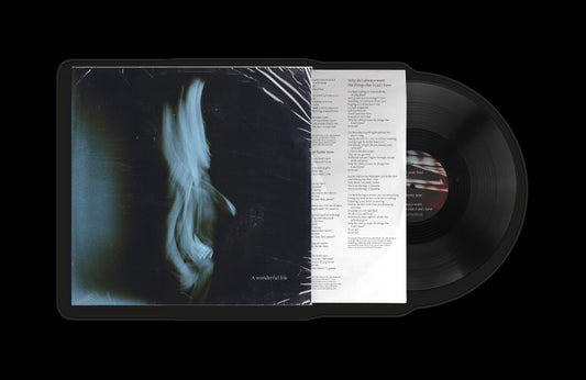 Tom Odell - A Wonderful Life [Standard Black LP]