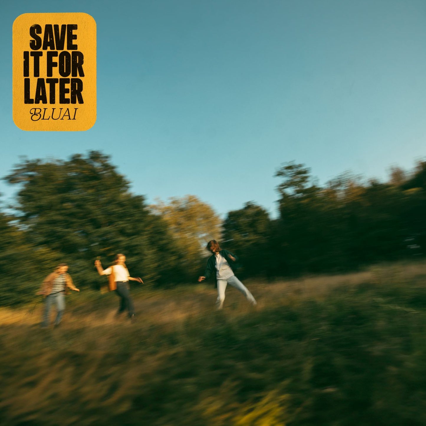 BLUAI - Save It For Later [CD]