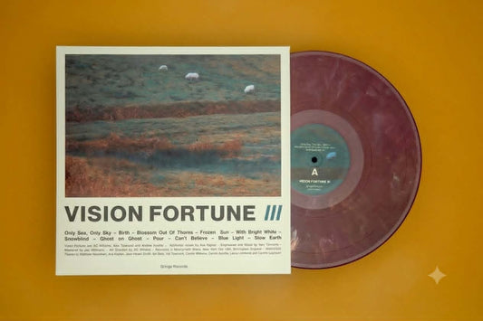 Vision Fortune - III [Eco Mix vinyl]